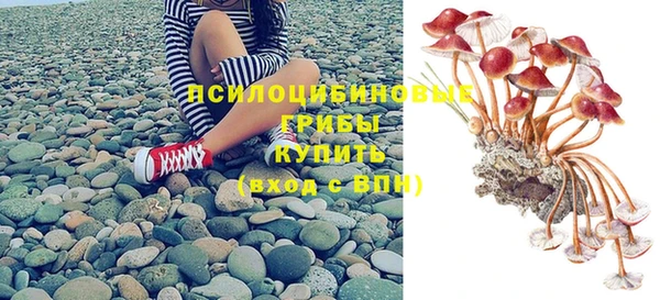 индика Алексеевка