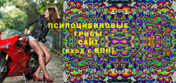 индика Алексеевка