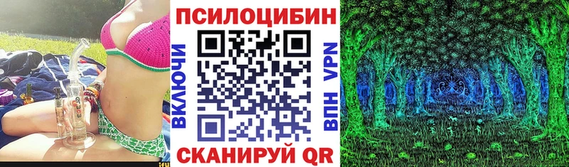закладки  Калининск  Псилоцибиновые грибы Magic Shrooms 